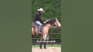 How To Teach a Horse To Work The Flag Part 2