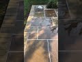 Sandstone patio, composite decking, and pergola. Outdoor living perfected!
