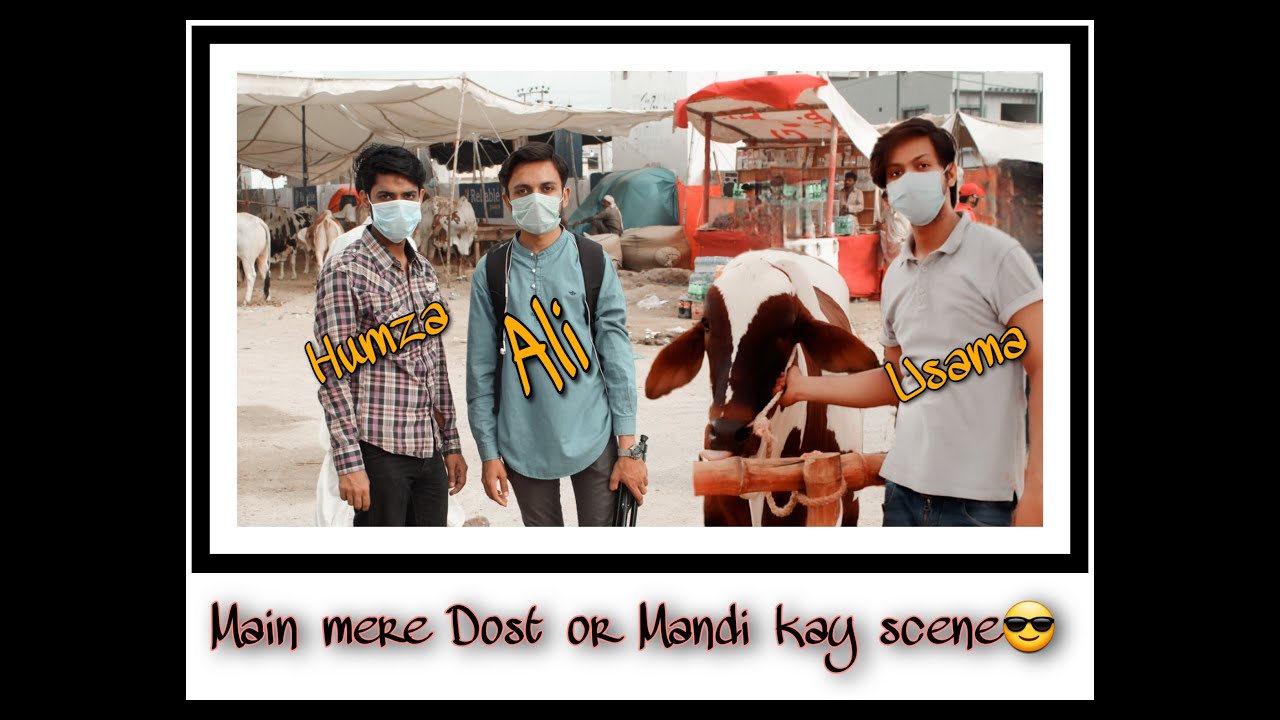 When we visited largest mandi || Sohrab Goth Mandi || Karachi || Alee Explorer