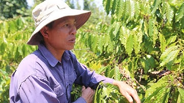 Người dân Tây Nguyên dùng phế liệu làm máy đo nước tưới cho vườn càphê