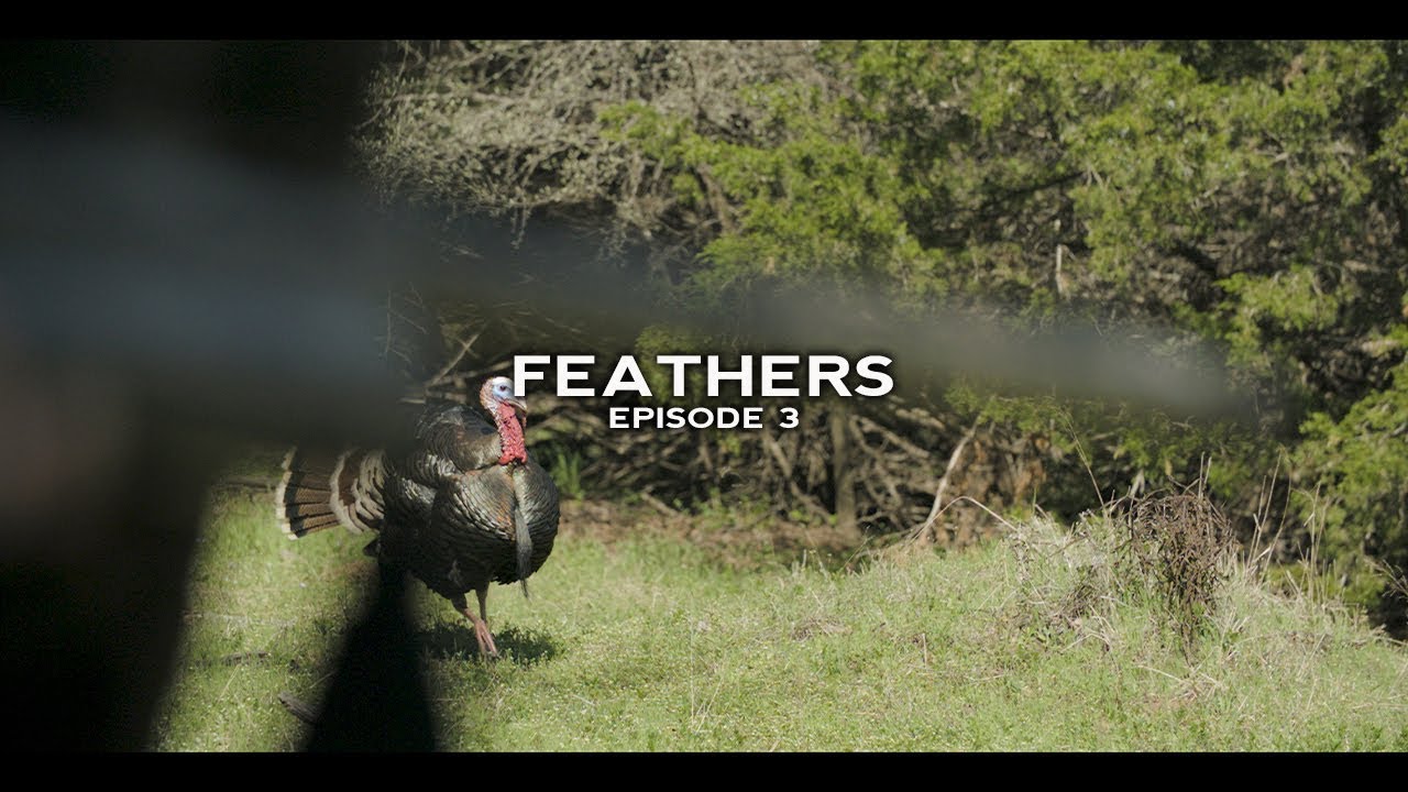 Turkey Hunting- A Rio Smackdown! 