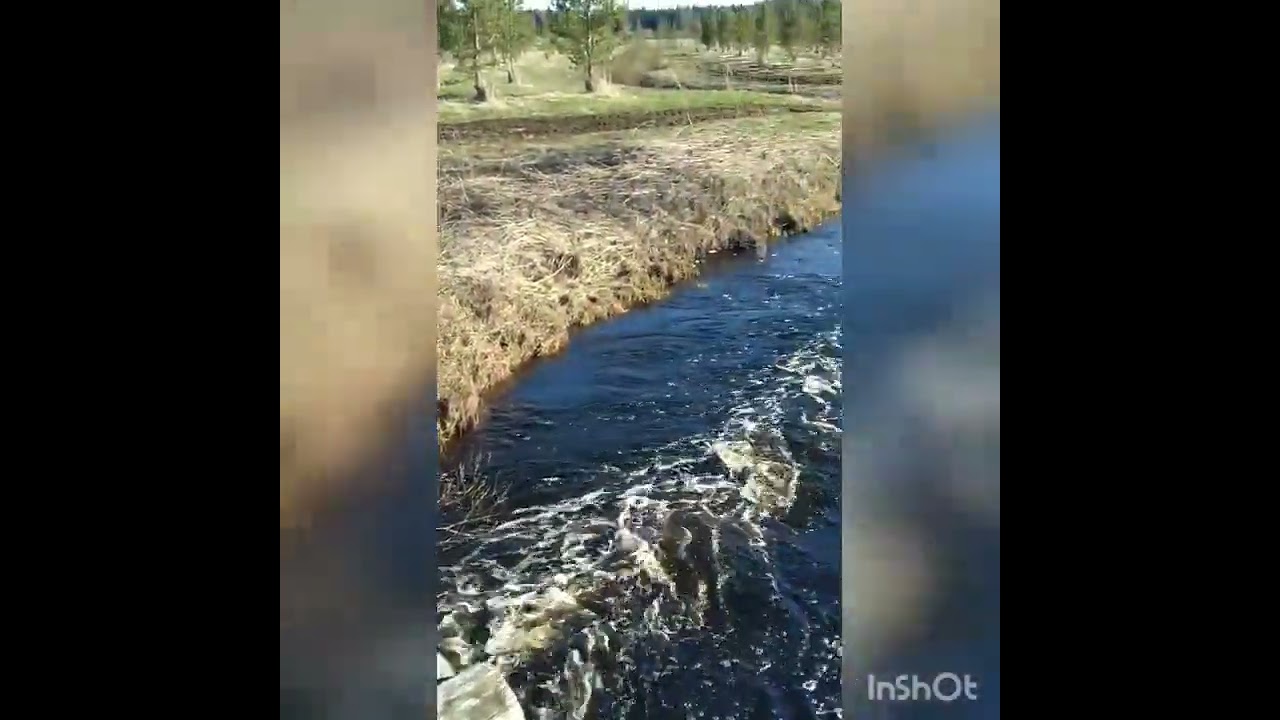 Helluntai Selim Palmgren, Op. 60 No. 1  Sanat  Valter Juva sov. P.L