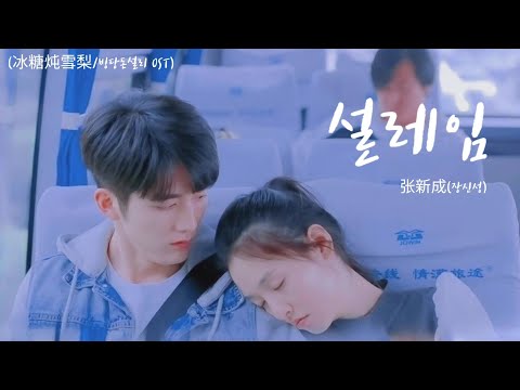 [한글자막] 빙당돈설리 OST 장신성(张新成) - 설레임(心动) 가사 해석 | 冰糖炖雪梨/Skate Of Love