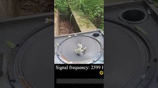 12-Inch Woofer Frequency Response Test (20Hz - 20kHz) #basstest #bass #nghia #subwoofer