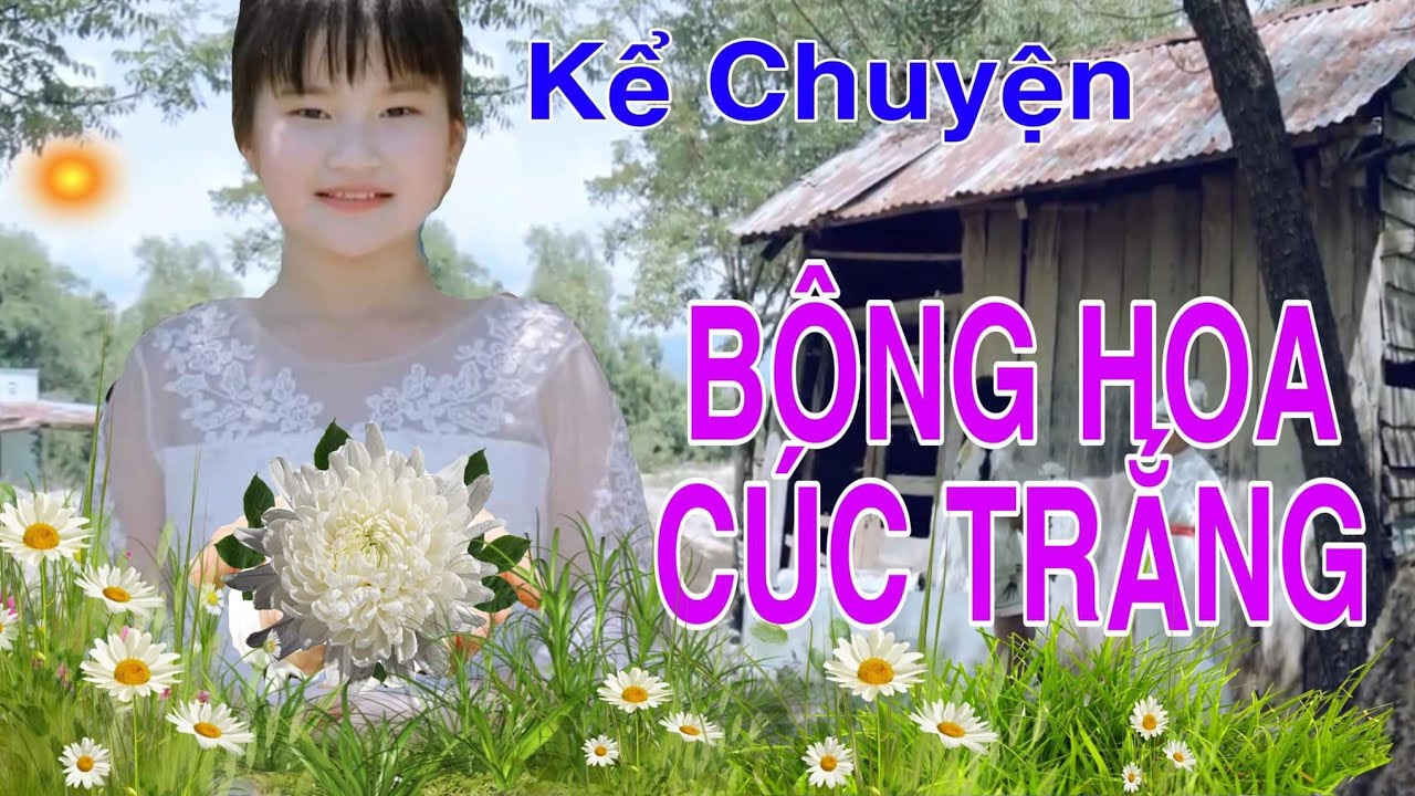 Kể chuyện: Bông hoa cúc trắng - Phương Linh