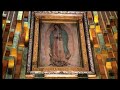 melodia manto virgen de guadalupe 10 horas