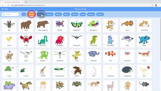 Celebrity Scratch Introduction Tutorial 1 Net Worth