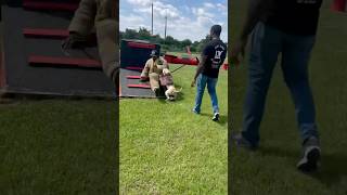 Hero Jitsu Too Much For Decoy