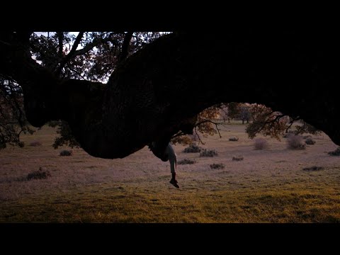 Club del río // Mística voraz