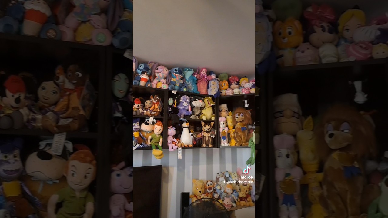 Disney plush collection makeover