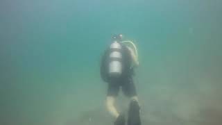 Wie Group Dive 28 July 18 Ping Min Chau