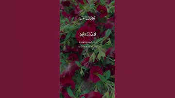 قرآن كريم #اكسبلور #القزابري #المصحف #quran #الكرعاني
