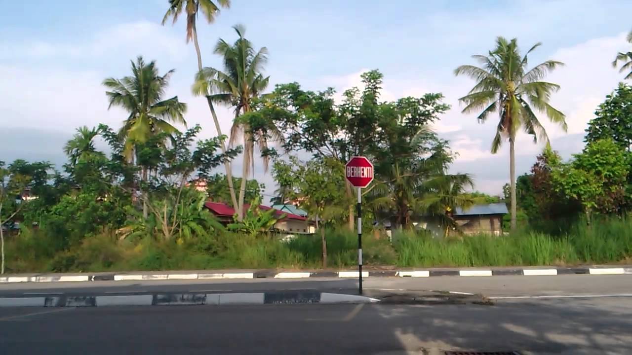 Merbuk Kampung - Teluk Air Tawar 