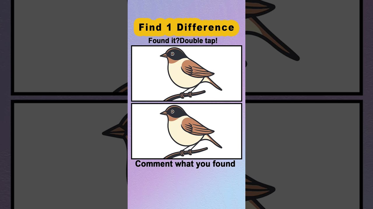 Can You Spot The Difference In Bird 