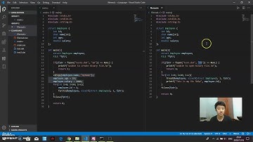 [Chinese] [C Programming] Binary File I/O