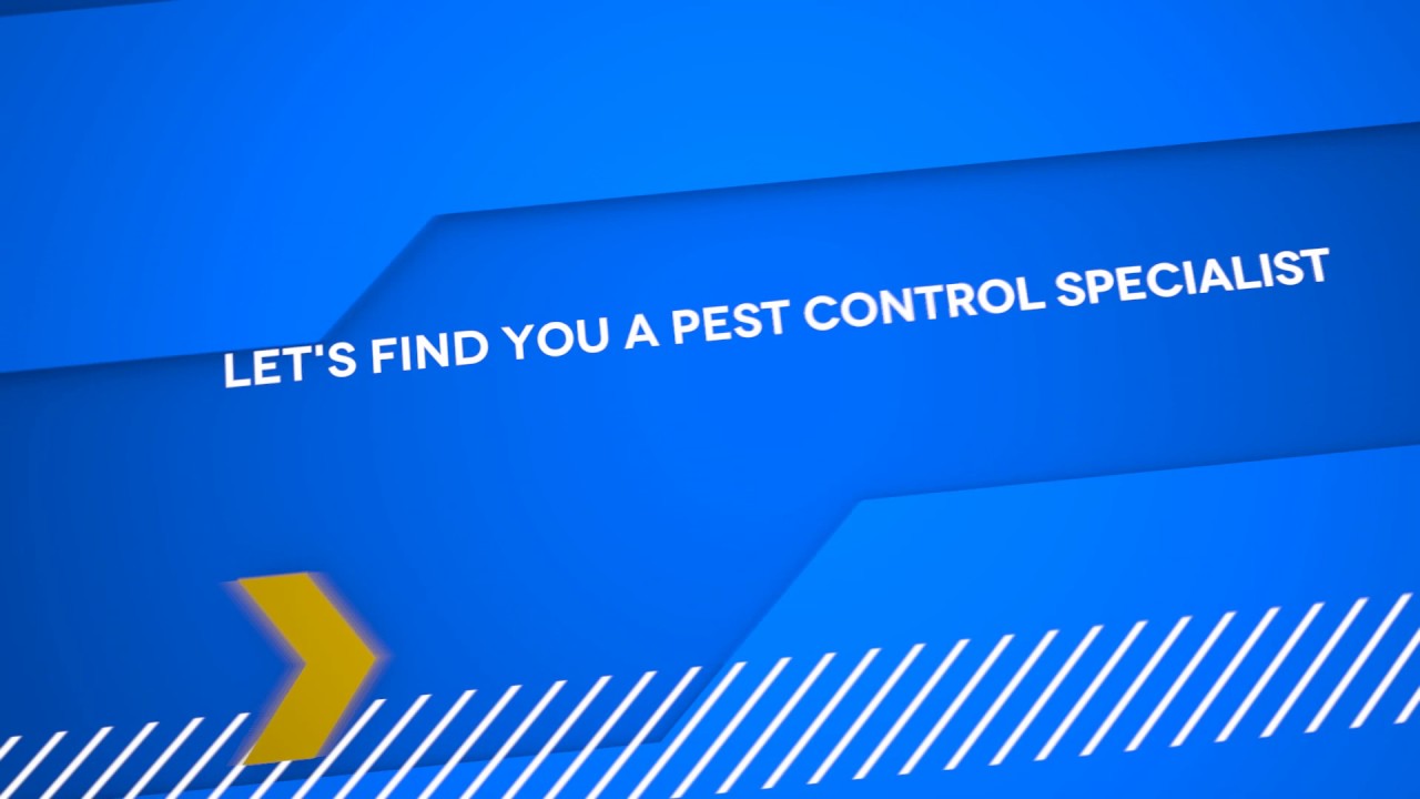 Pest Control Bakersfield YouTube
