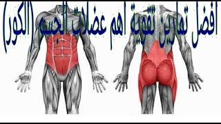 افضل تمارين تقوية عضلات الجذع (الكور)