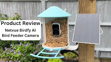 Product Review: Netvue Birdfy AI Bird Feeder Camera