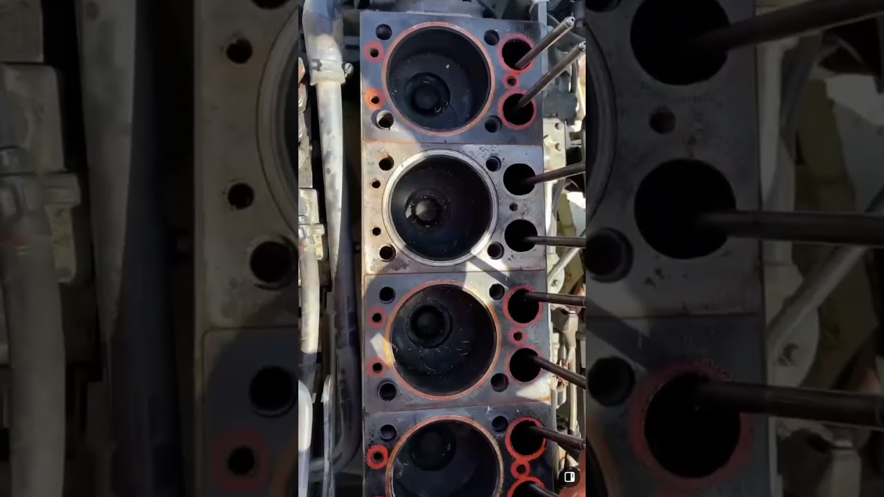 The People’s State of the Union - Trending Shorts