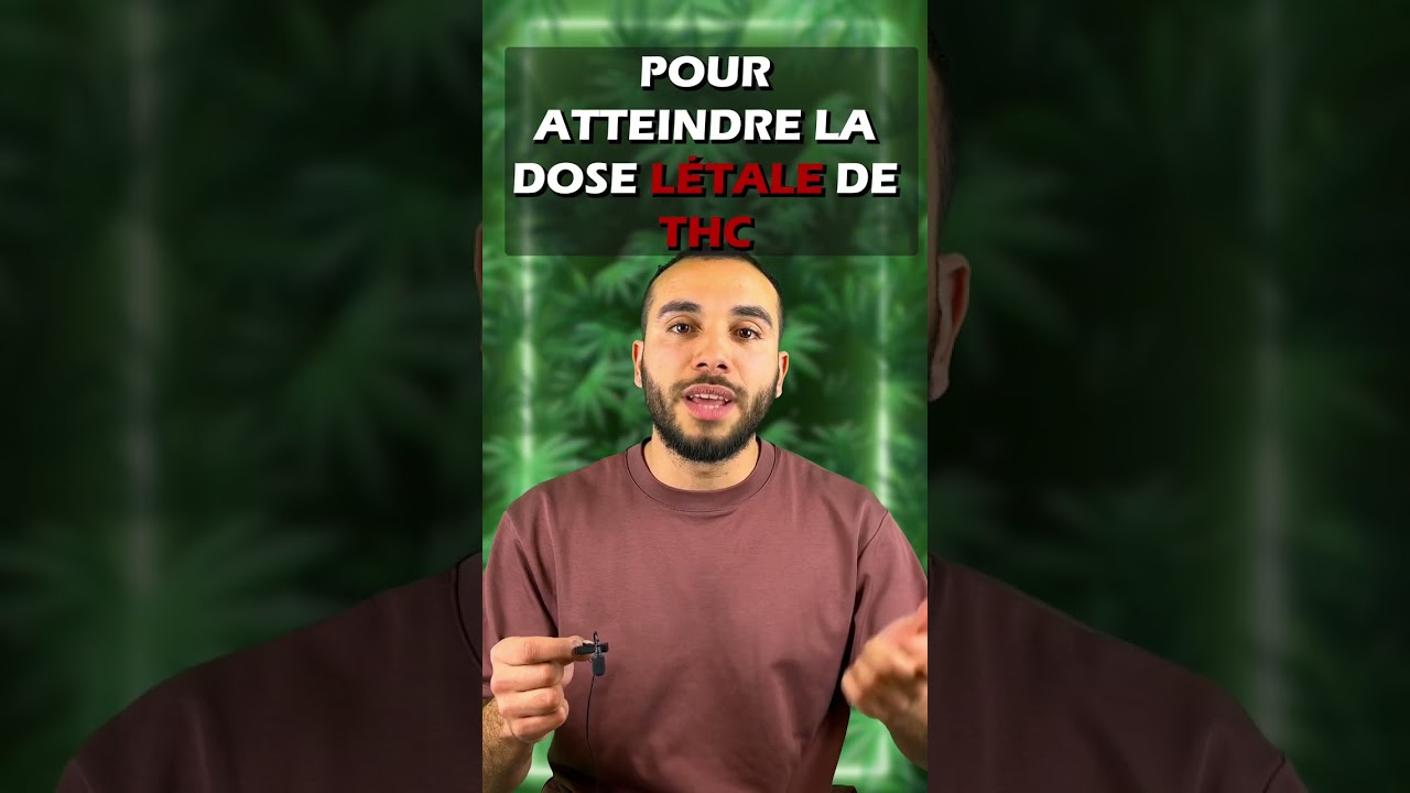 Consommer trop de can**bis ?!