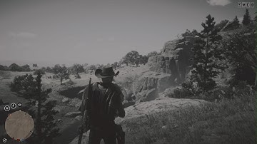 Random Encounter Help | Red Dead Online