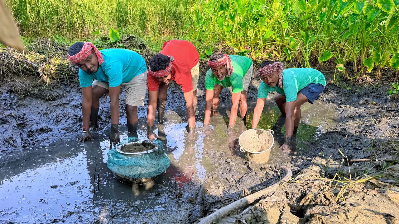 মাঠের পুরনো ডোবা সিচে অনেক জিওল মাছ ধরলাম!!!