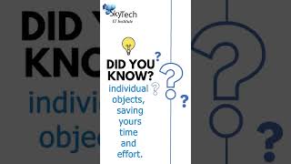 SKY TECH   I T Institute