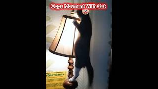 #🐾 "Cute Cat’s Unexpected Oops Moment!"🤡#short