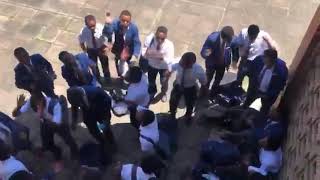 Askies Im Sorry Mama  Pbhs 