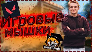 видео: ШКОЛОНИК про ТРЕНИРОВКИ СОСТАВА / ХАЙЛАЙТЫ КИБЕРСПОРТСМЕНОВ по WARFACE / ИГРОВЫЕ МЫШКИ / VALORANT картинка: ШКОЛОНИК про ТРЕНИРОВКИ СОСТАВА / ХАЙЛАЙТЫ КИБЕРСПОРТСМЕНОВ по WARFACE / ИГРОВЫЕ МЫШКИ / VALORANT