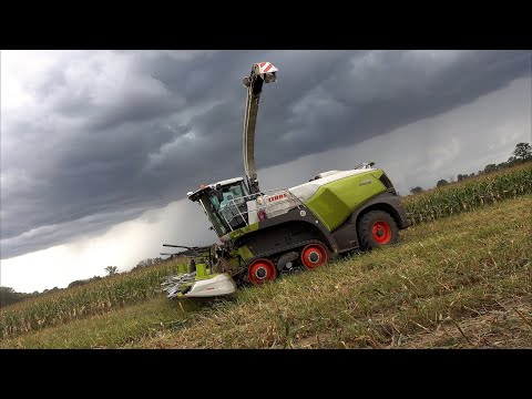 Mais 2025 : Speed run with a STUNNING Claas Jaguar 990TT | TG Agrar | 7X Transport | Maisernte | 4K