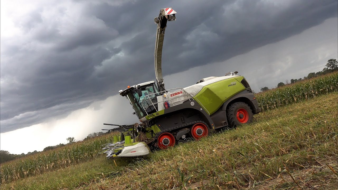 Mais 2025 : Speed run with a STUNNING Claas Jaguar 990TT | TG Agrar | 7X Transport | Maisernte | 4K