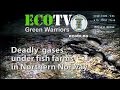 EcoTV 10 2016 Deadly gases under Lerøy Aurora fish farms in Northern Norway