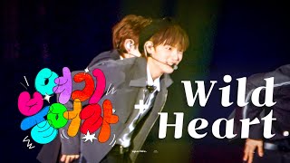 [4k] 240119 강원청소년동계올림픽개회식 루네이브 여기붙어라 + 루네이트 Wild Heart 지은호 직캠 / LUN8 JIEUNHO FOCUS FANCAM