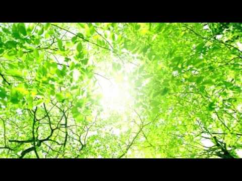 蝉時雨  五木ひろし　　　cover ふじいますお