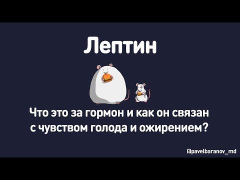 Лептин. Что это за гормон и как он связан с чувством голода и ожирением?