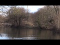 Climbing swans