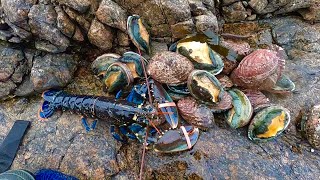 Lobster & Abalone foraging !  The Hunt For Some Lobsters !