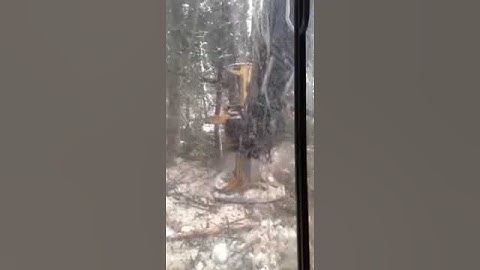 Tigercat 870 Buncher Inside View #logging #forestry #harvesting