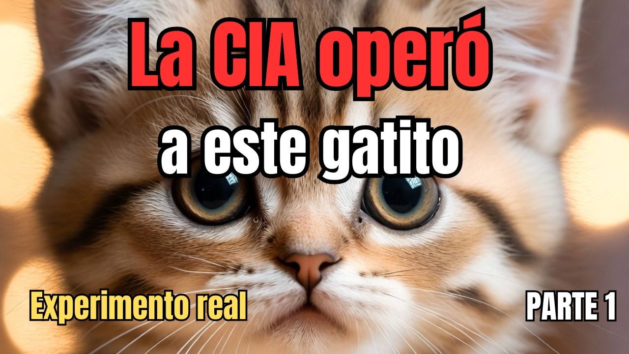 La CIA operó un gato: EXPERIMENTO real en la Guerra Fría | Parte 1 🐱