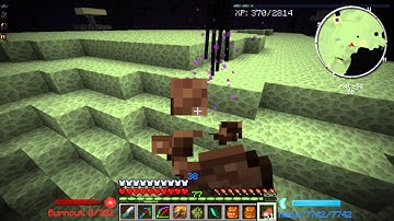 Feed the Beast 1.6.4 S2E63  Special Birthday Fight (Now with random bee things)