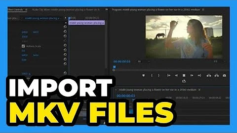 Premiere Pro ： How to Import mkv Files mkv Not Supported Fix 2025
