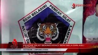 Pencak Silat Sekinci-Kinci Seni Bela Diri Asli Lampung
