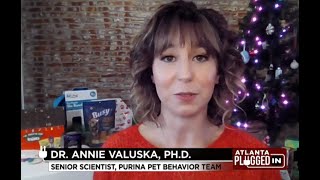 Holiday Pet Safety Tips and Gifts