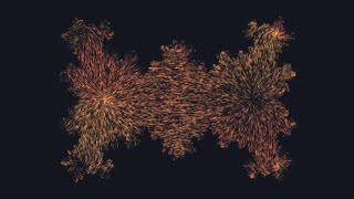 Vector field visualization: perfect loop of a fractal