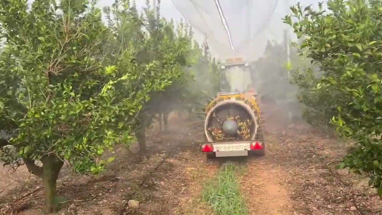 Turbo atomizador aplicando Agro ECA Protect en un campo de naranjos