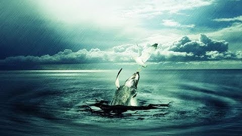 ( ثلاث أرباع الحزب 58) ، سورة الإنسان الآية 19 إلى 31 ، سورة المرسلات ، القارئ بندر بليله