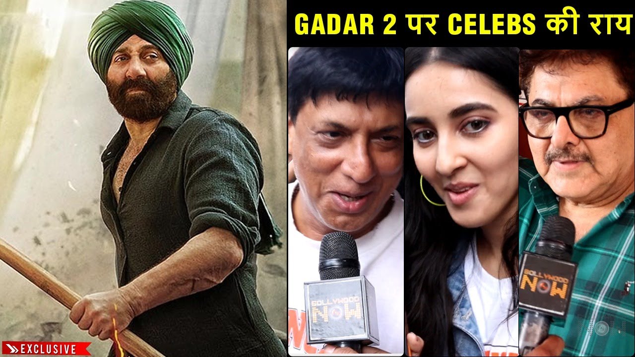 Celebs EXCLUSIVE Reaction On Gadar 2 | Madhur Bhandarkar, Manish Wadhwa, Simratt Kaur, Ashok Pandit