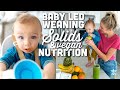 Starting Solids, Baby Led Weaning, & Vegan Infant Nutrition