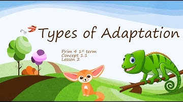 SCIENCE | Grade 4 | Types of Adaptations 1 | Unit 1  - Lesson 2 - Concept 1